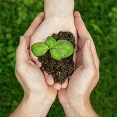 Стекольный завод полного цикла «DalaGlass»